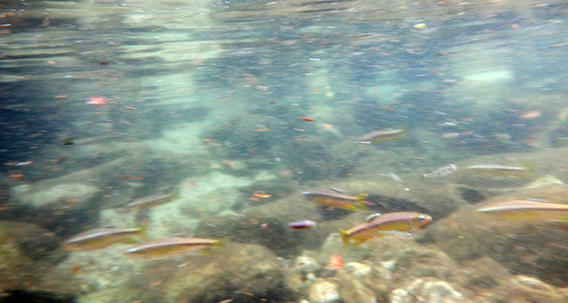 6DSCF6486.JPG