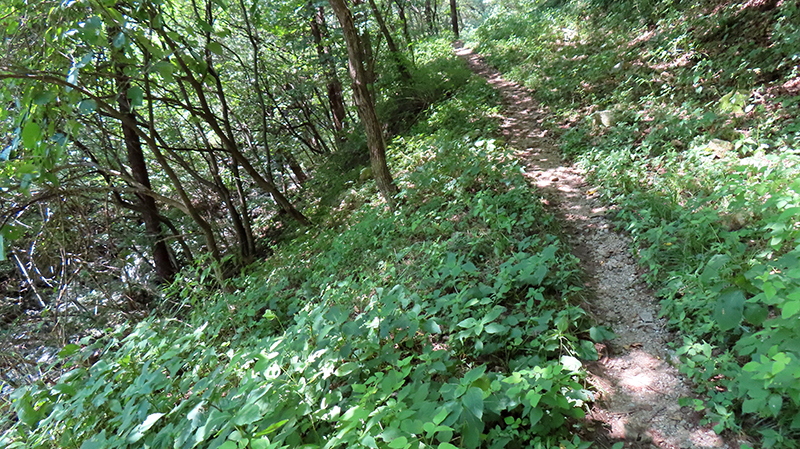 IMG_8610.JPG
