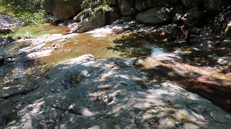 IMG_8577.JPG