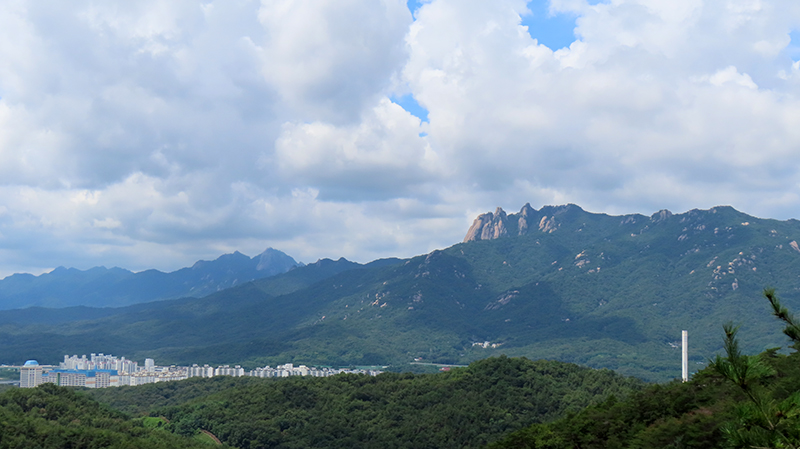 IMG_8777.JPG