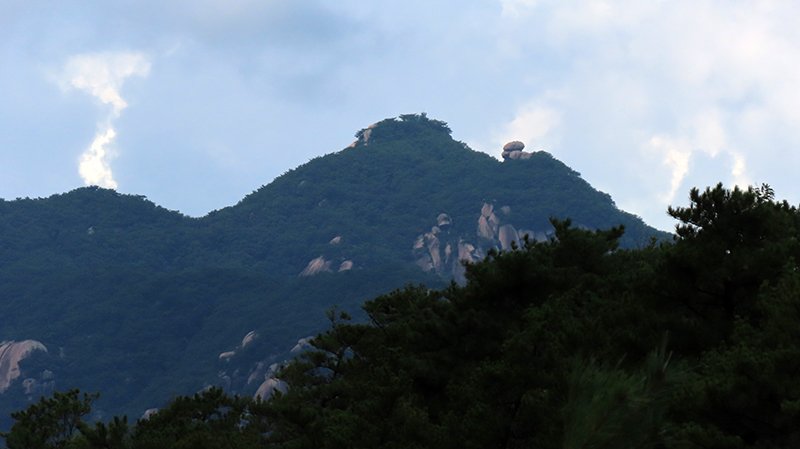 IMG_8781.JPG