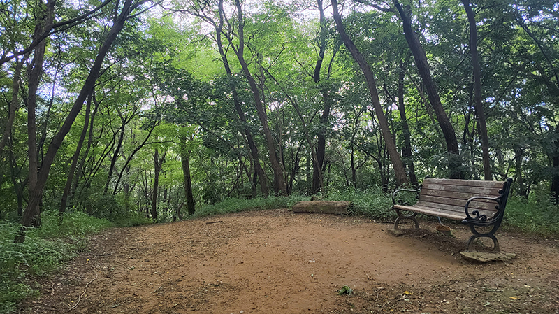 KakaoTalk_20250722_180755996_01.jpg