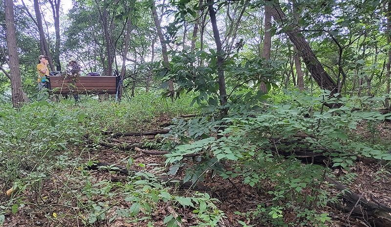 KakaoTalk_20250722_180755996_02.jpg
